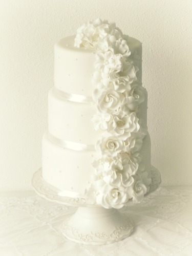 http://www.almiesbakery.nl/wp-content/uploads/2011/11/aP1360257.jpg